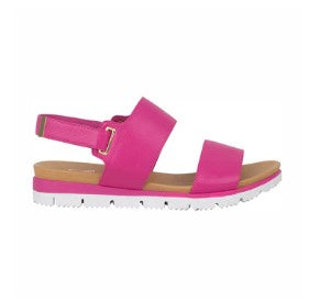 Chloe Fushia Shoes