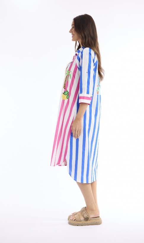 Denim Multi Colour dress