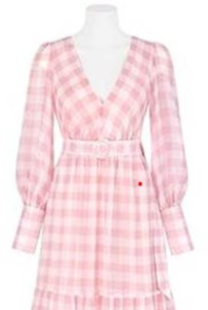 Elise Gingham Dress